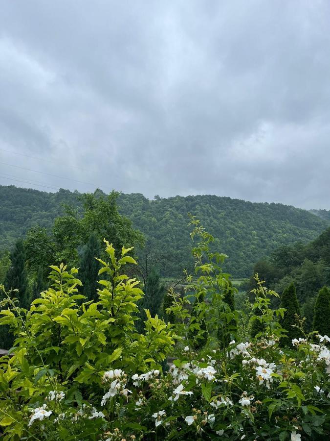 Villa Nature Bihać Kültér fotó